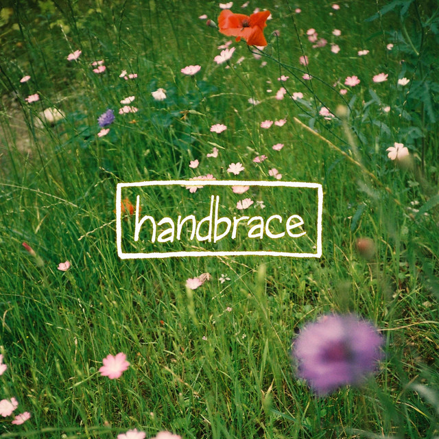 Handbrace