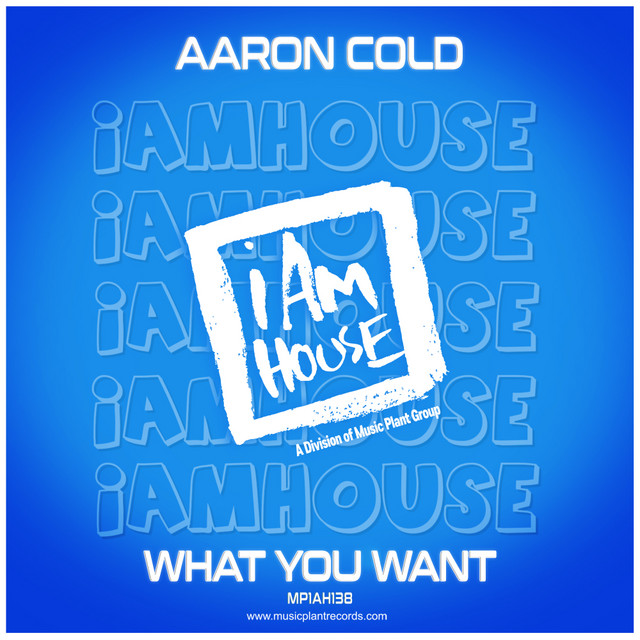 What You Want - House Radio Edit