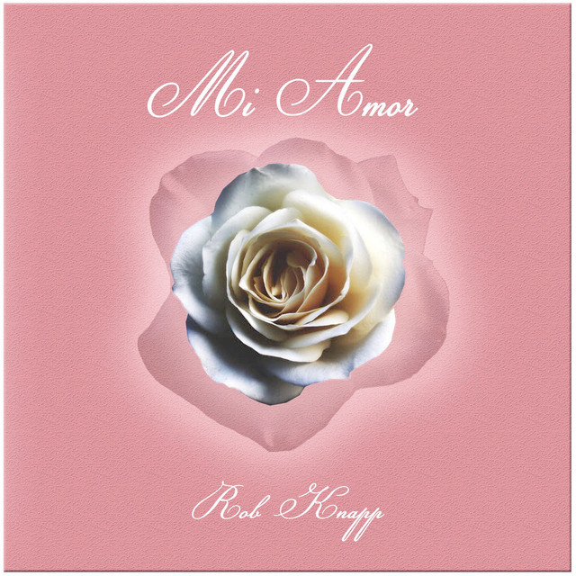 Mi Amor cover art