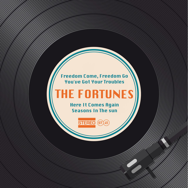 You've Got Your Troubles (Re-Recorded)