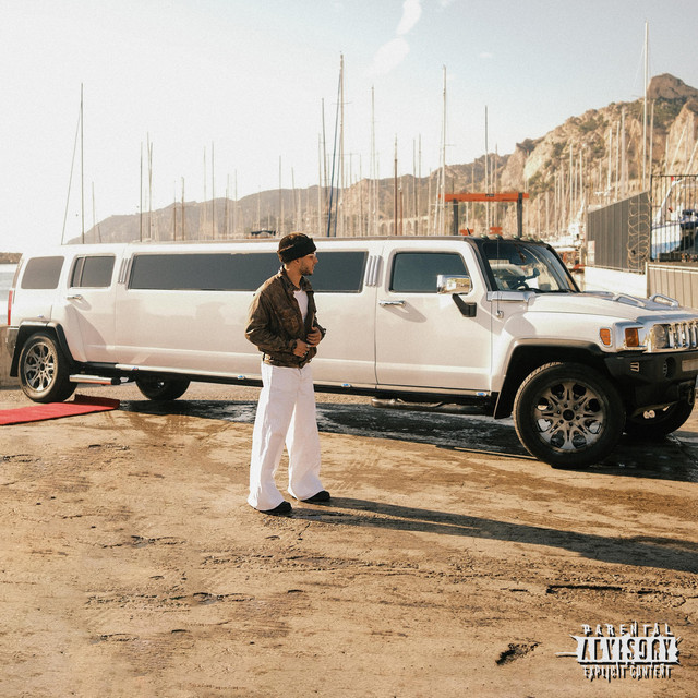 LIMOUSINE cover art