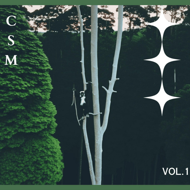 rainforest function, Vol. 1 cover art
