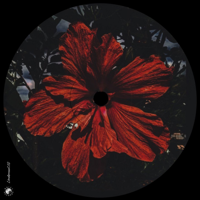 Calling cover art