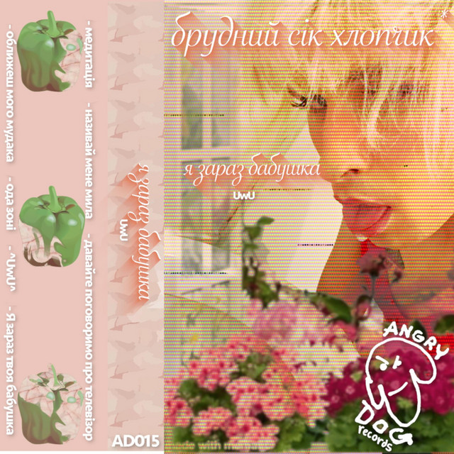 I Am the Babushka Now cover art