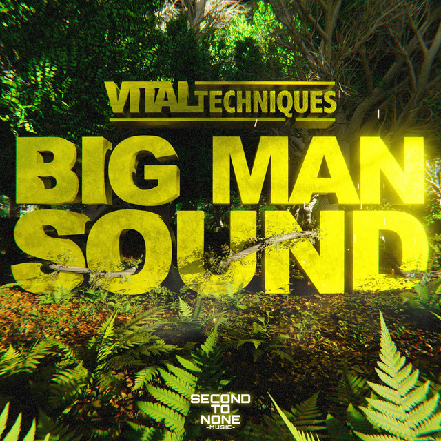 Big Man Sound album art