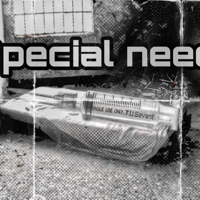 Special Needs cover art