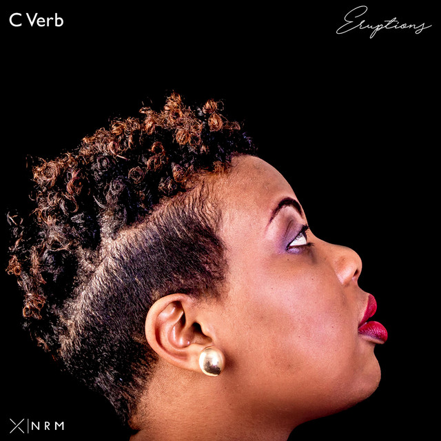 ERUPTIONS cover