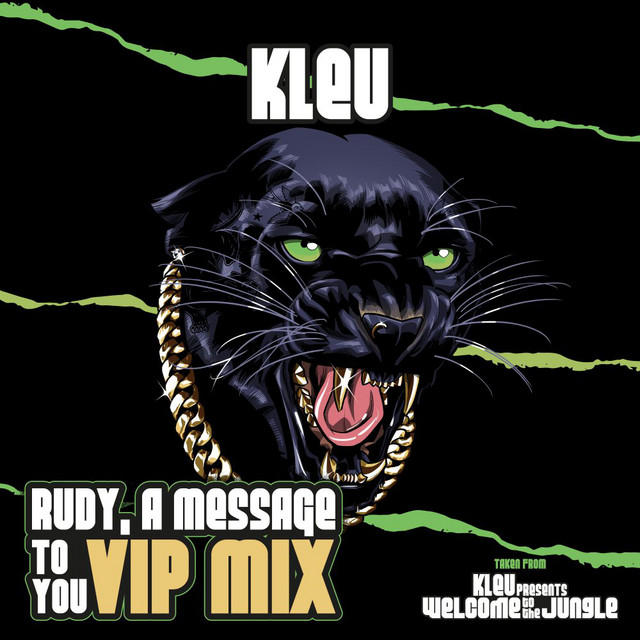 Rudy, A Message To You - VIP Mix artwork
