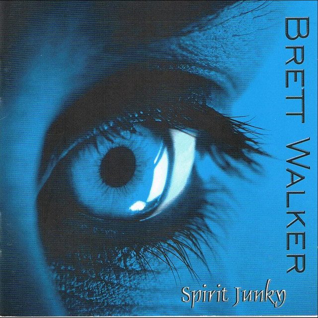 Spirit Junky cover