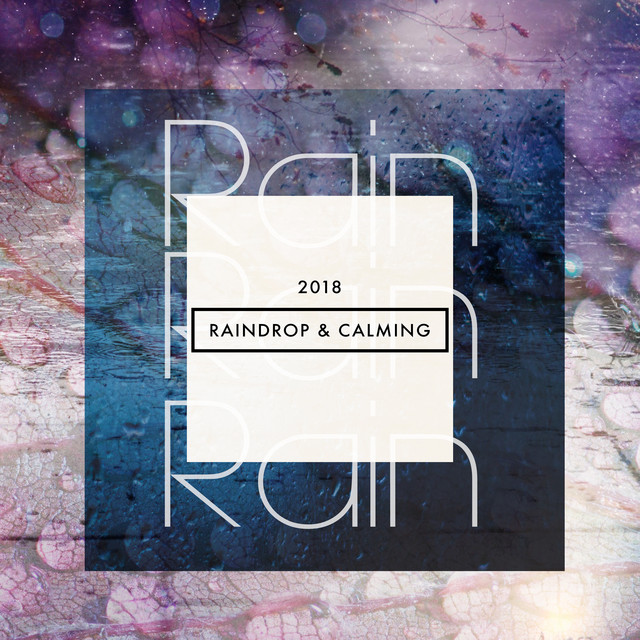 Windy Wet Weather - song and lyrics by Raindrops Sleep, Dawn Drizzle ...