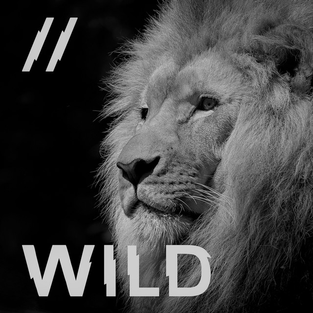 Wild cover art