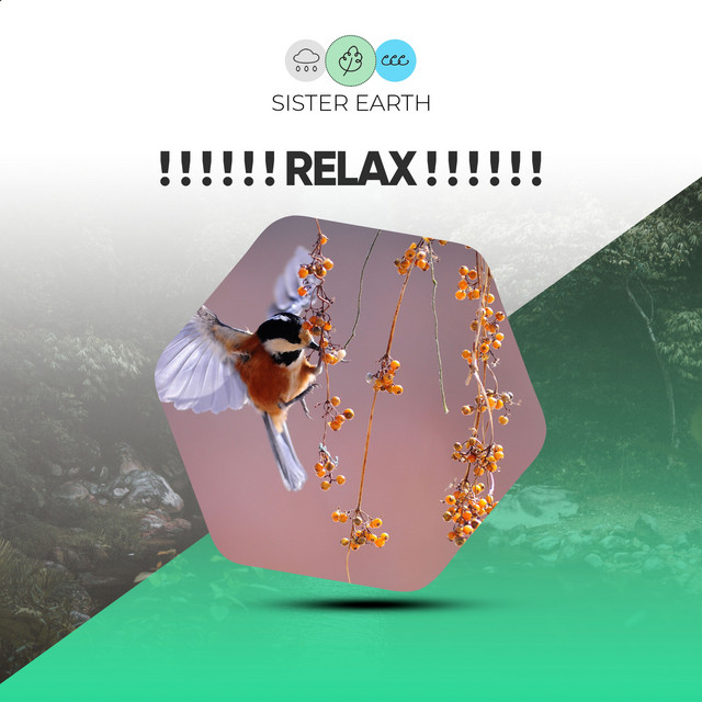 Relax ! ! ! ! ! ! - Album by Sleep Sounds of Nature | Spotify