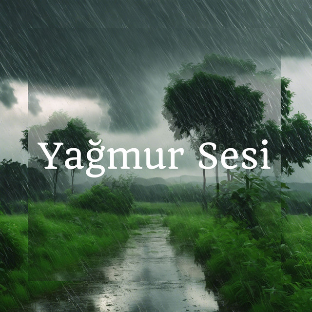 Yağmur Sesi: Meditasyon ve Zihinsel Huzur cover art