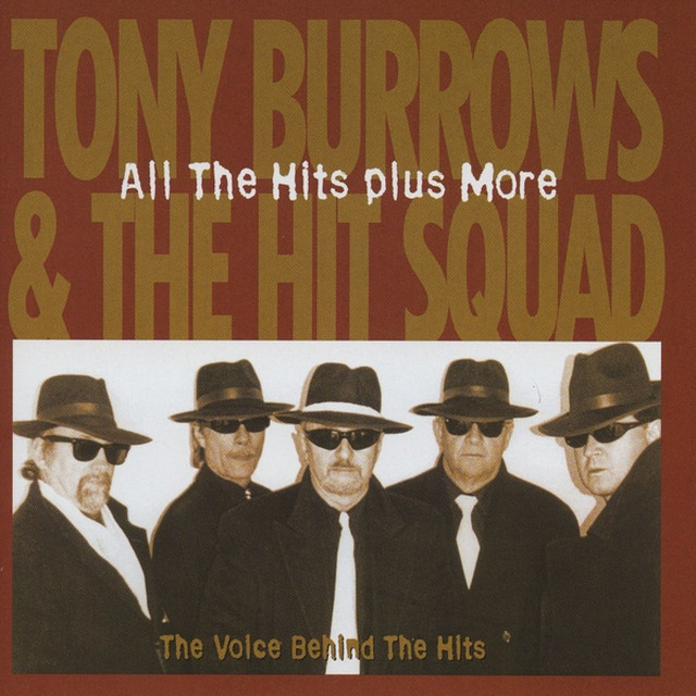 All The Hits Plus More - The Voice Behind The Hits cover art