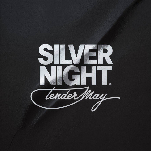 Silver Night cover art