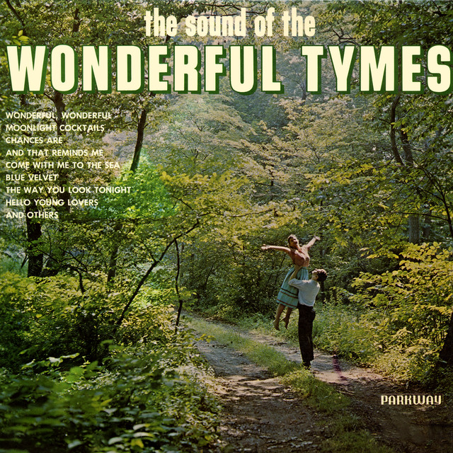 The Sound Of The Wonderful Tymes cover art