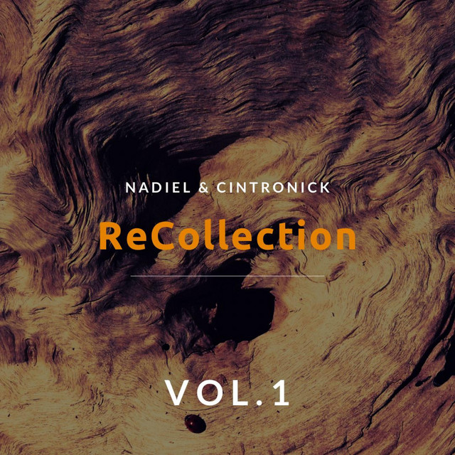 ReCollection, Vol. 1 cover art