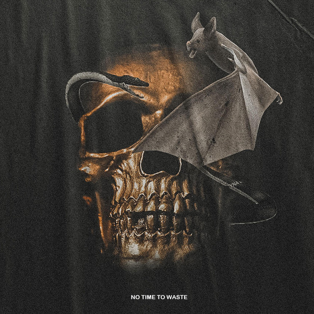 No Time to Waste cover art