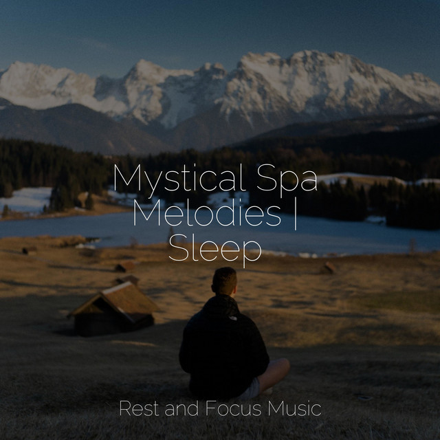 Mystical Spa Melodies | Sleep - Album by Pet Care Music Therapy | Spotify