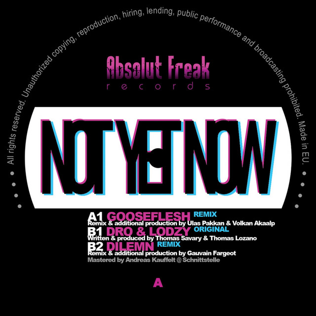 Not Yet Now (Gooseflesh Remix) cover art