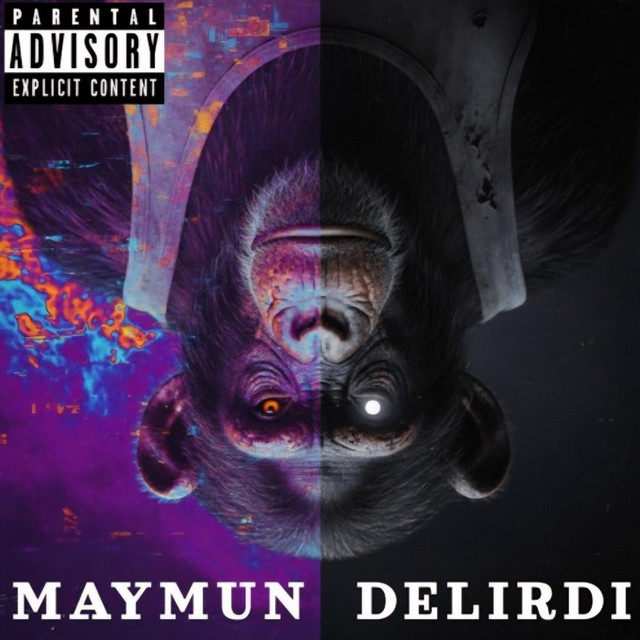 Qimp 18 Kasım (MAYMUN DELIRDI) cover art
