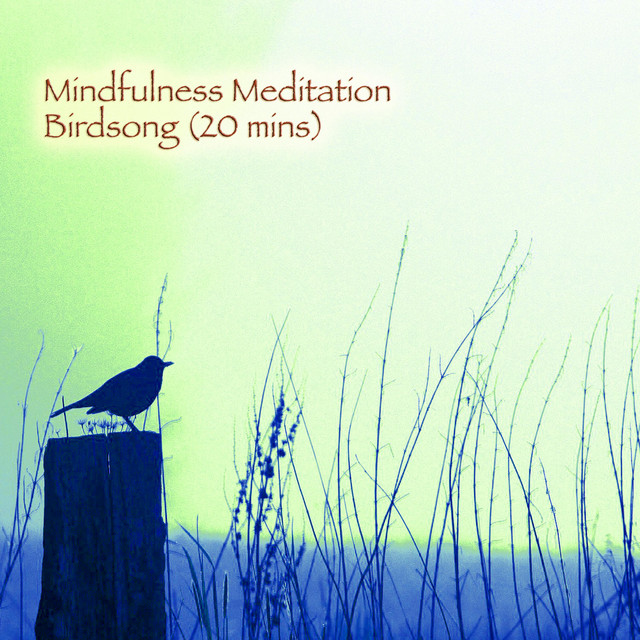 Mindfulness Meditation (Long) cover