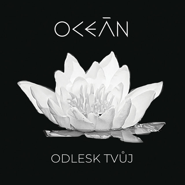 Odlesk tvůj (Radio Mix)