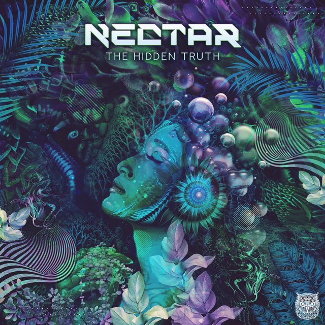The Hidden Truth album art