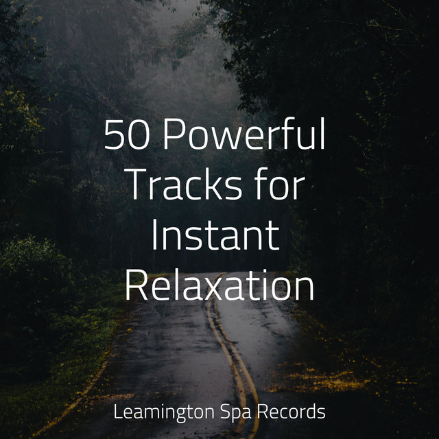 50 Powerful Tracks for Instant Relaxation - Album by Chakra Meditation ...