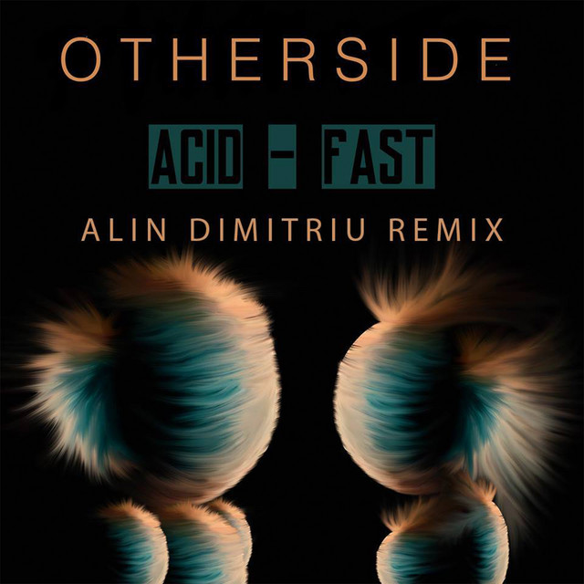 Acid - Fast (Alin Dimitriu Remix) cover