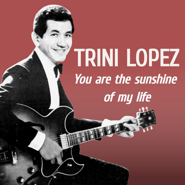 You're The Sunshine of My Life cover art