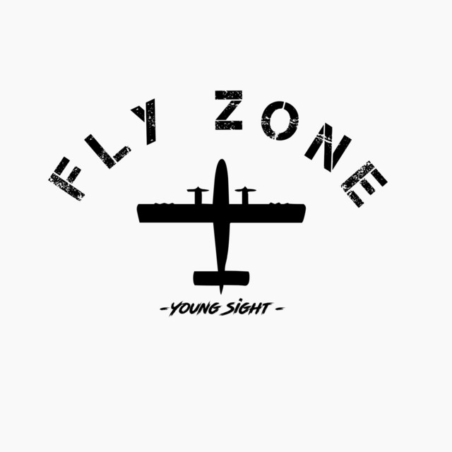 Fly Zone cover art