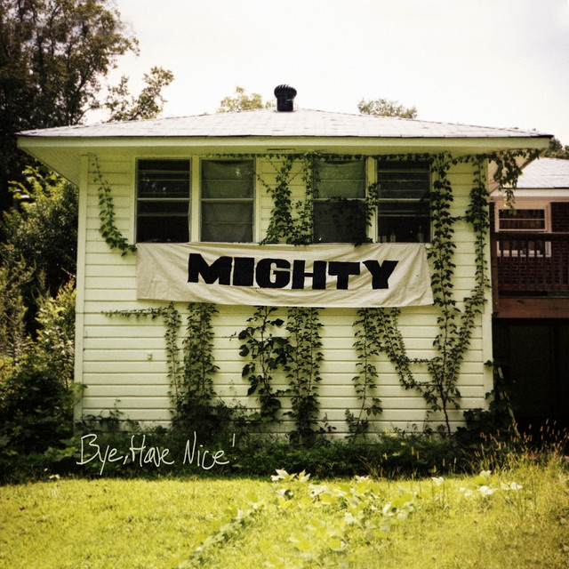 Bye, Have Nice! cover art
