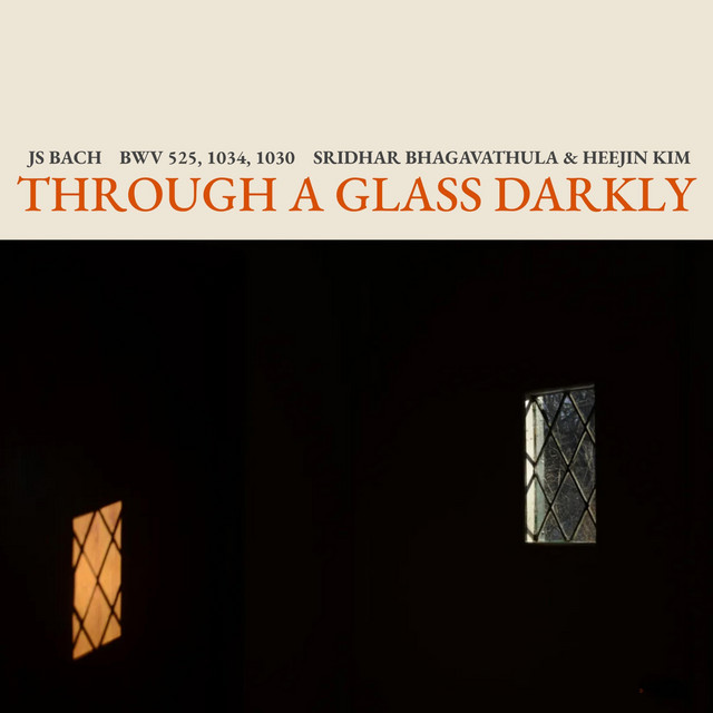 Through a Glass Darkly