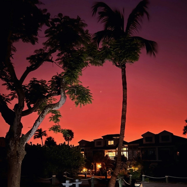 Sunset cover art