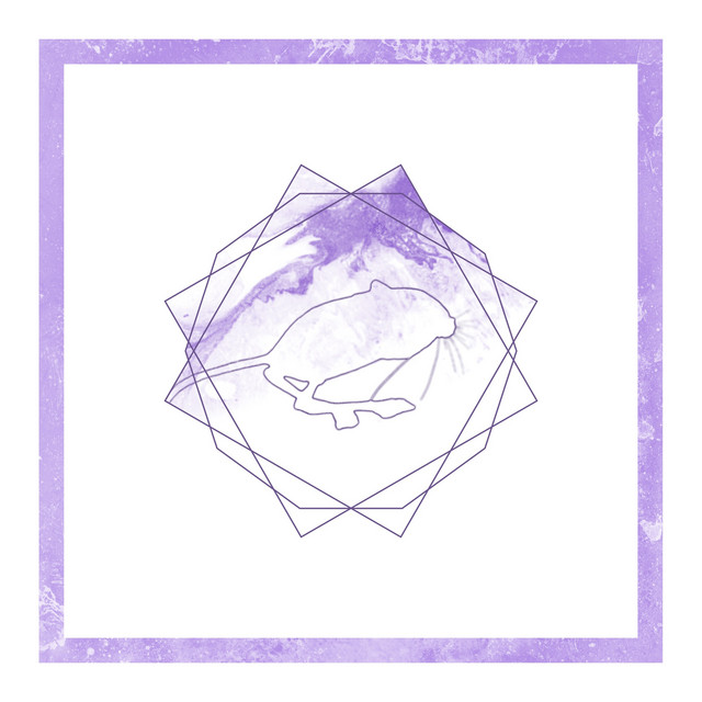 Jerboa cover art