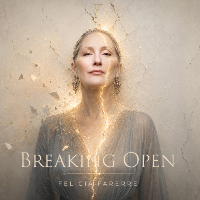 Breaking Open cover