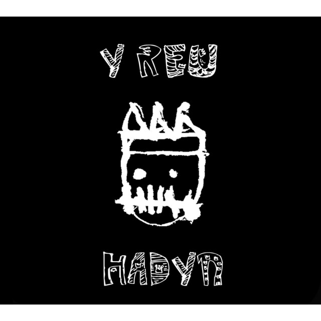 Hadyn cover