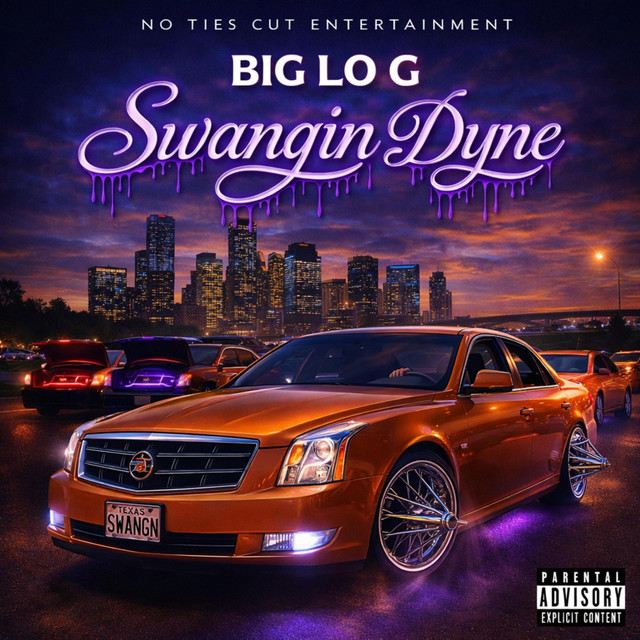 Swangin Dyne cover art