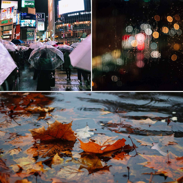 Music for Rainy Season - Paradise Like Chill Out cover art
