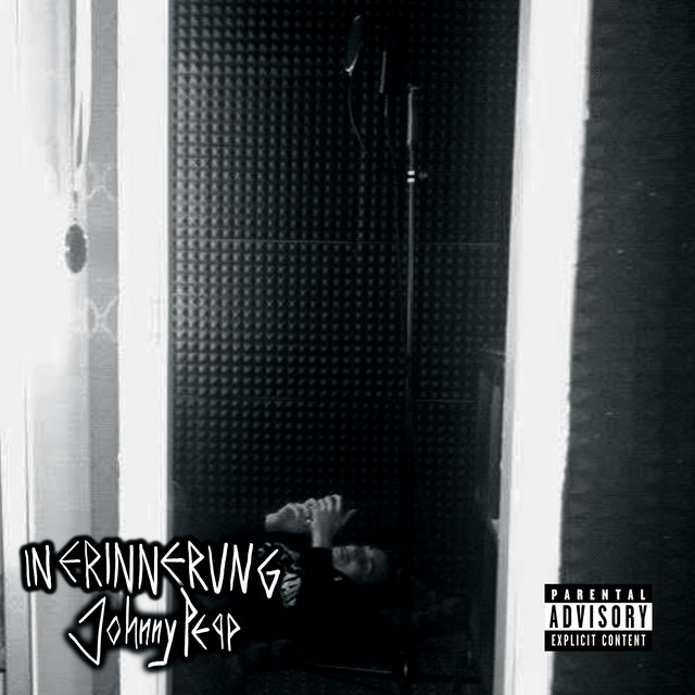 IN ERINNERUNG cover