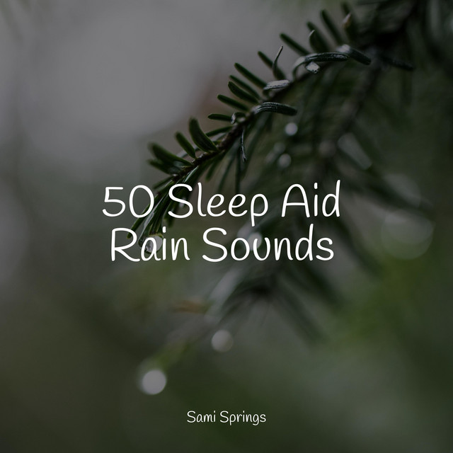 50 Sleep Aid Rain Sounds - Album by Música relaxante | Spotify