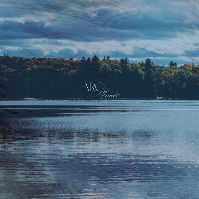 Wavelet cover art
