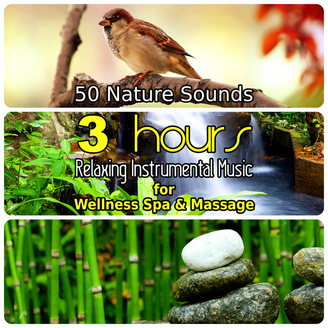 50 Elemental Harmony cover art