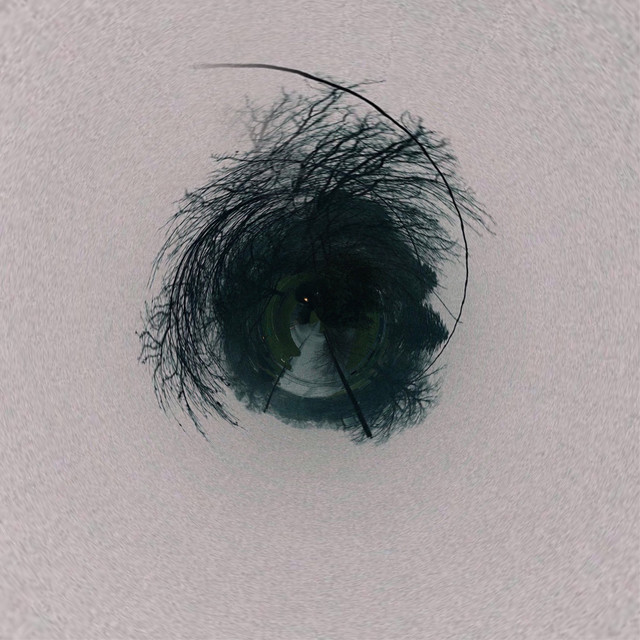Crisis cover art
