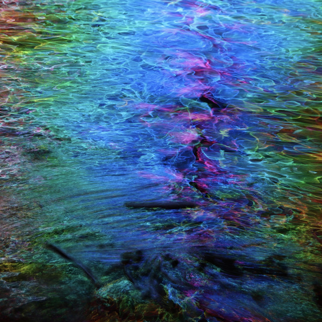 The Shore