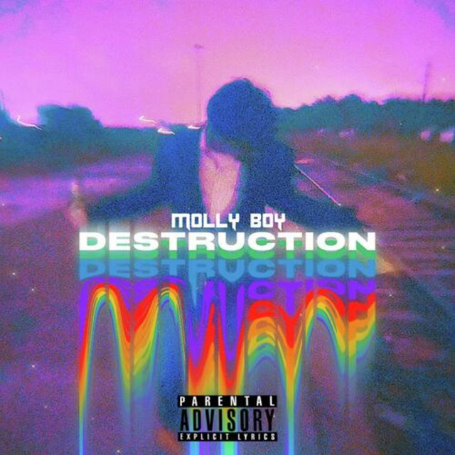 Destruction (Deluxe) cover art