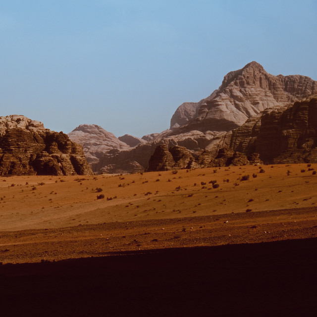 Al Badiya