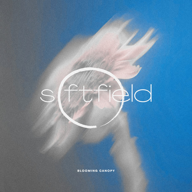 Softfield