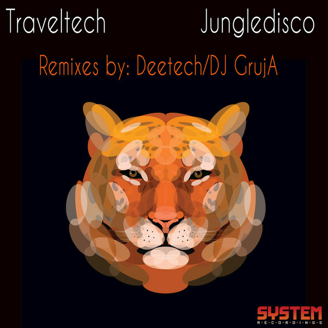 Jungledisco - DJ GrujA Remix cover art